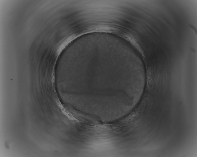 X0000100870944200807181233
