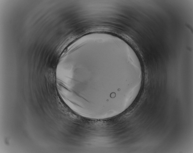 X0000100870945200807181233