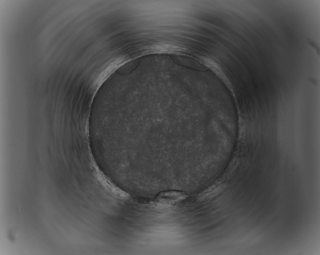X0000100870946200807181233