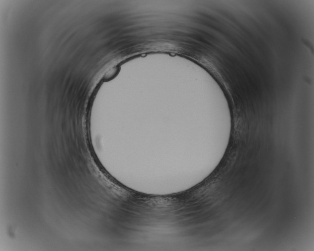 X0000100870947200807181233