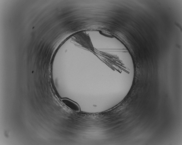 X0000100870948200807181233