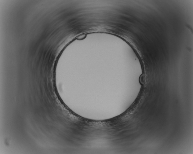 X0000100870949200807181233