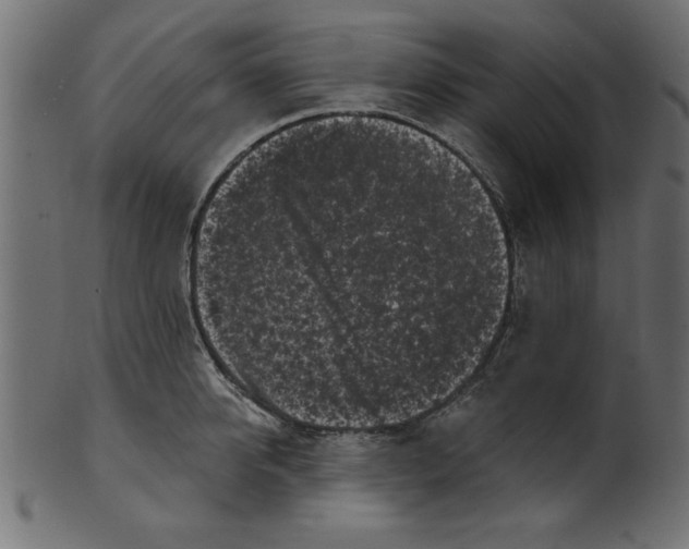 X0000100870950200807181233