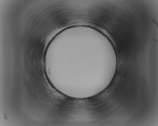 X0000100870951200807181233