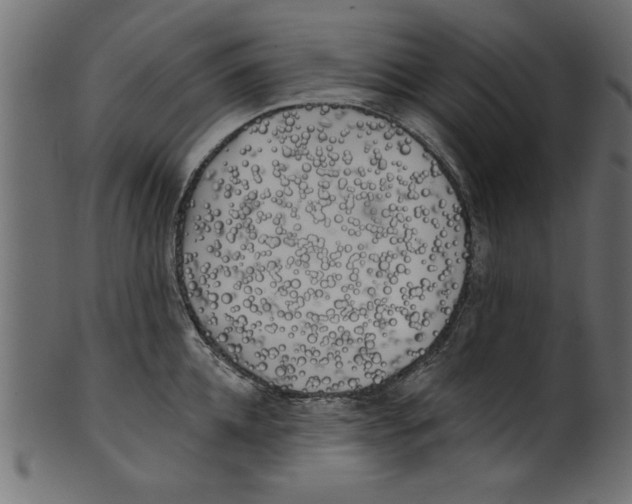 X0000100870952200807181233