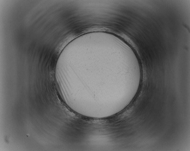X0000100870953200807181233