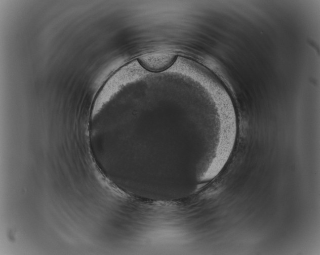 X0000100870954200807181233
