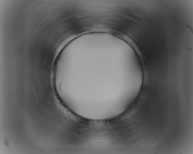 X0000100870955200807181233