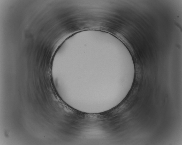 X0000100870956200807181233