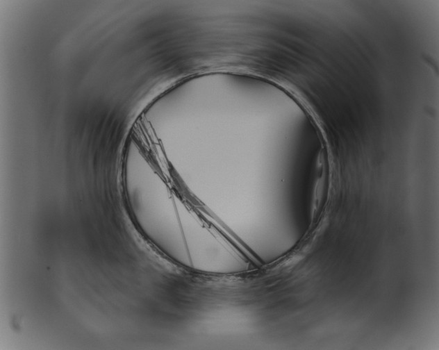 X0000100870957200807181233