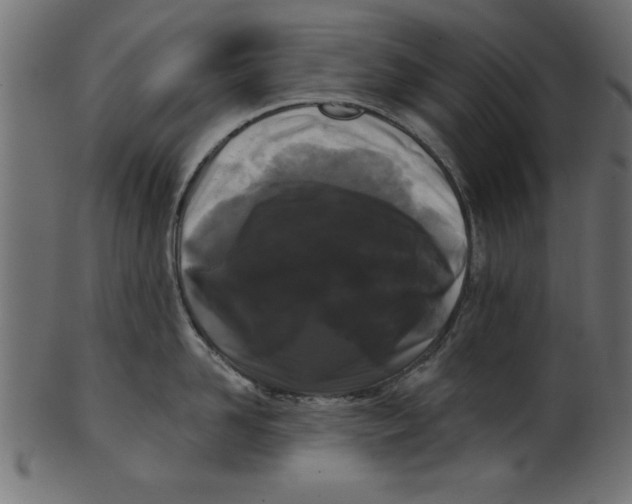 X0000100870958200807181233
