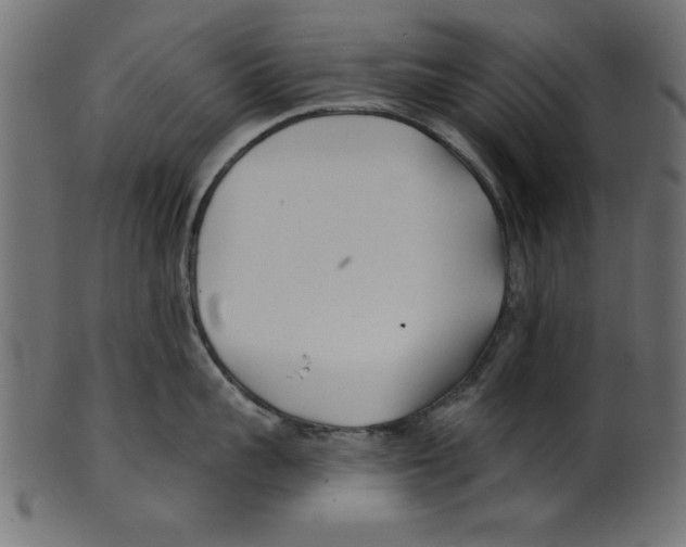 X0000100870959200807181233