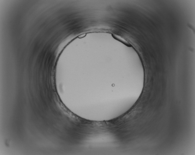 X0000100870960200807181233