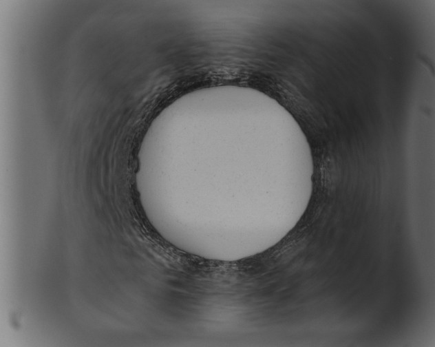 X0000100870961200807181233