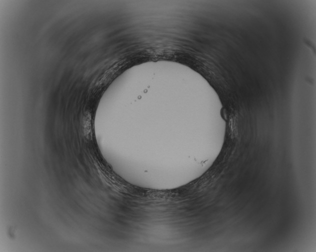 X0000100870963200807181233
