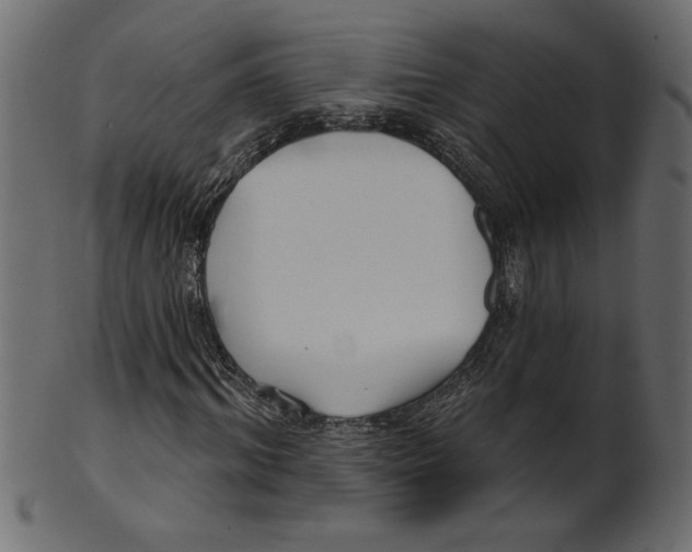 X0000100870964200807181233