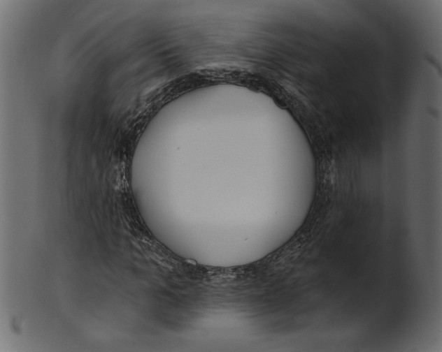 X0000100870965200807181233
