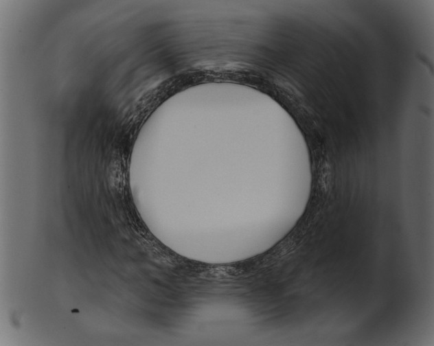 X0000100870966200807181233