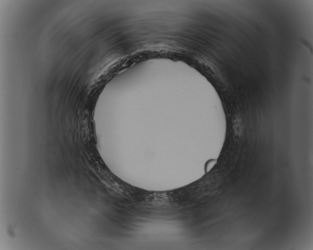 X0000100870968200807181233