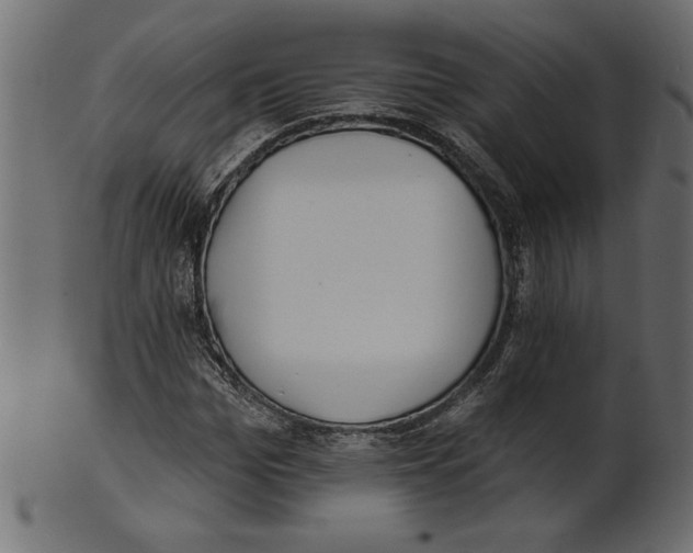 X0000100870969200807181233