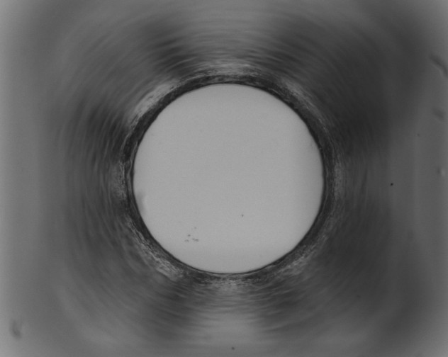 X0000100870970200807181232