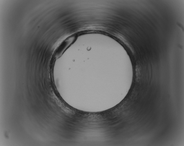 X0000100870972200807181232