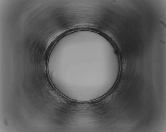 X0000100870973200807181232