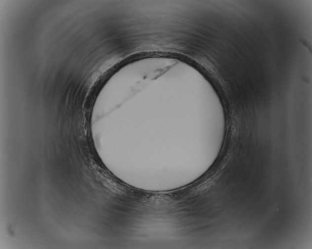 X0000100870974200807181232