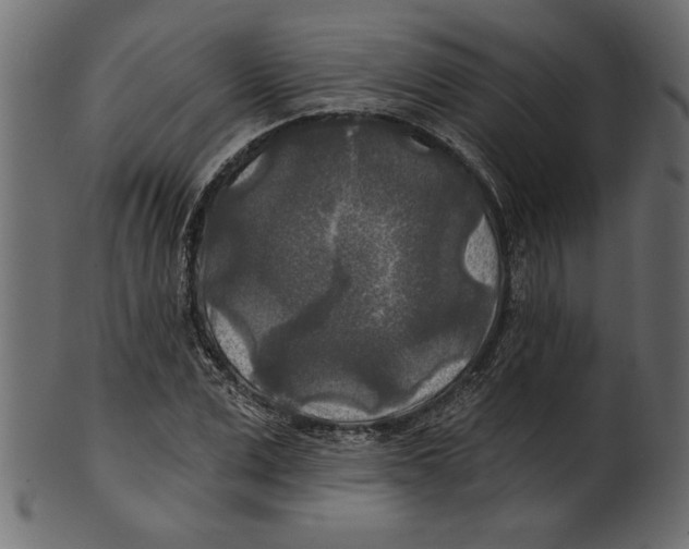 X0000100870975200807181232
