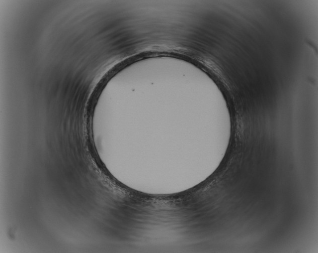 X0000100870976200807181232
