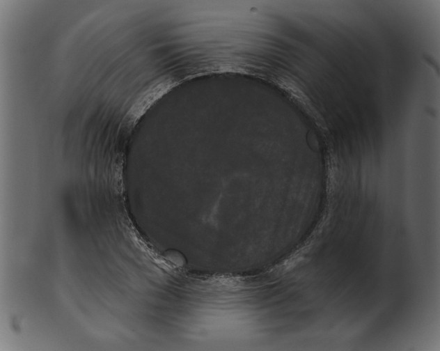 X0000100870977200807181232