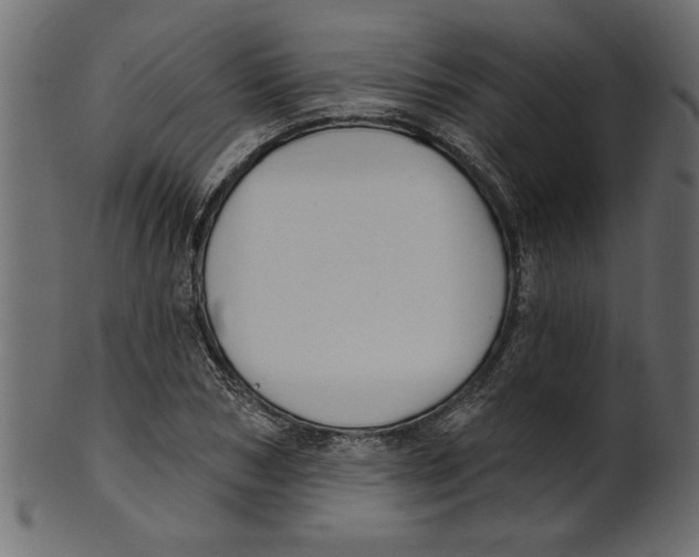 X0000100870978200807181232