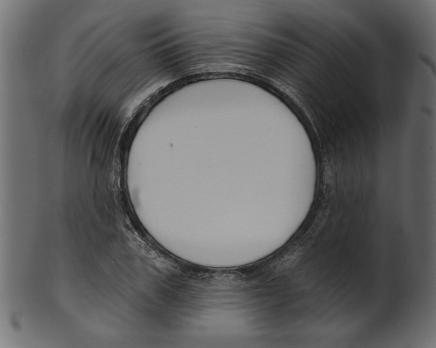 X0000100870979200807181232