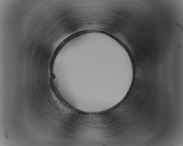 X0000100870980200807181232