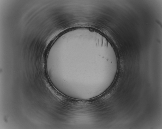 X0000100870981200807181232