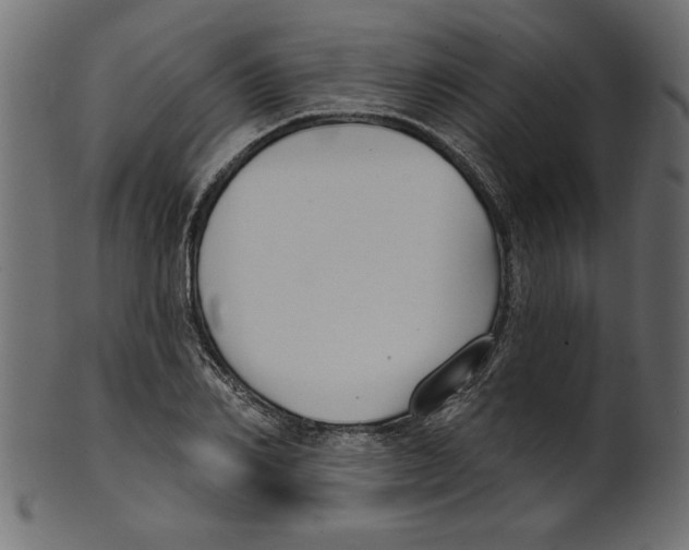 X0000100870982200807181232