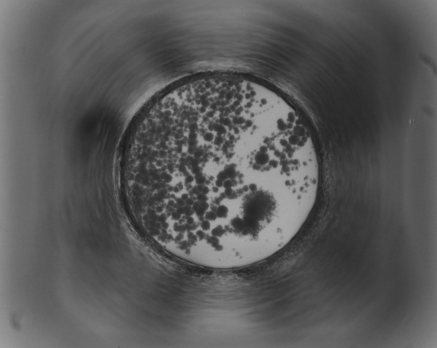 X0000100870983200807181232