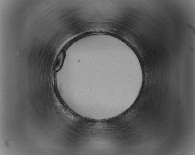X0000100870984200807181232