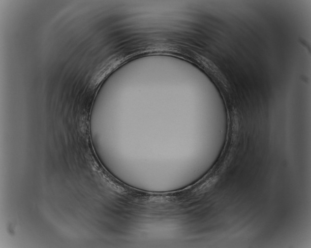 X0000100870985200807181232