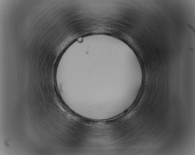 X0000100870986200807181232