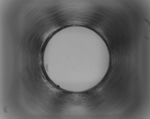 X0000100870987200807181232