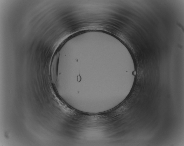 X0000100870988200807181232