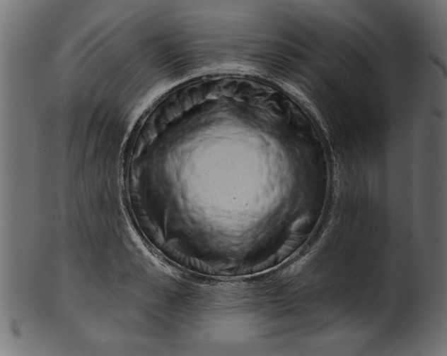 X0000100870989200807181232