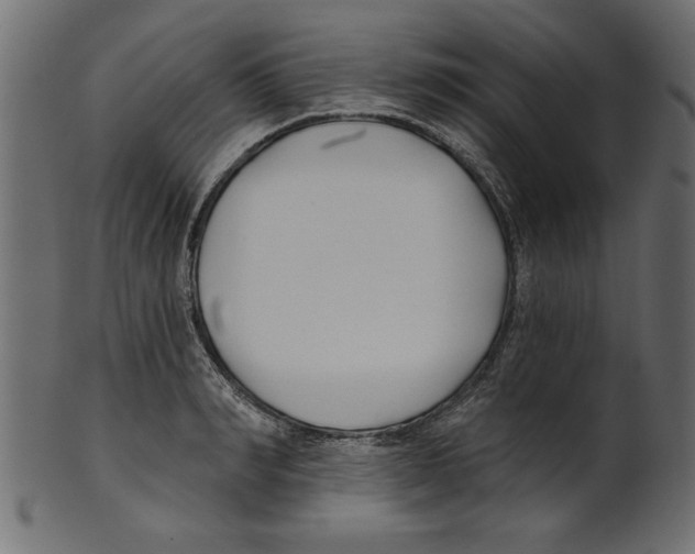X0000100870990200807181232