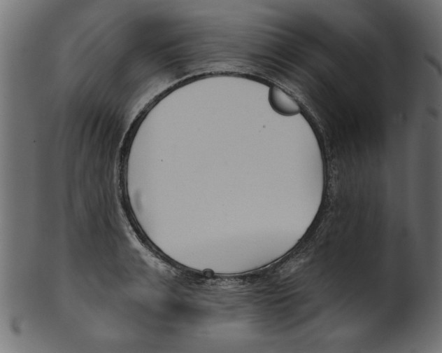 X0000100870991200807181232