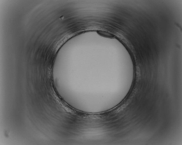 X0000100870993200807181232