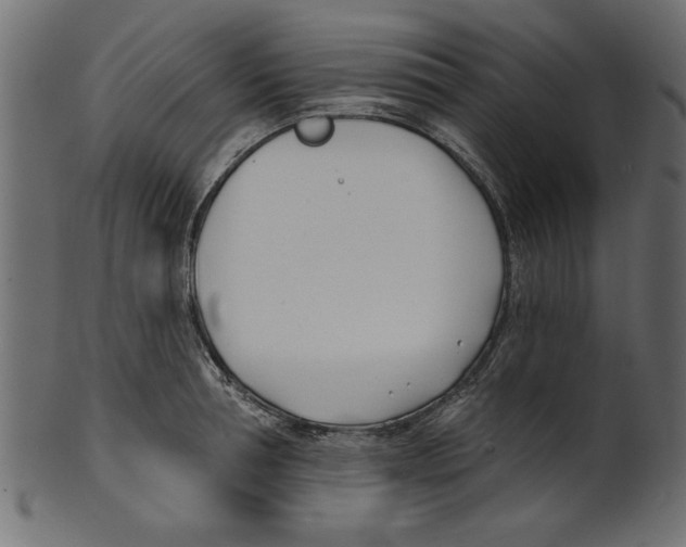 X0000100870994200807181232