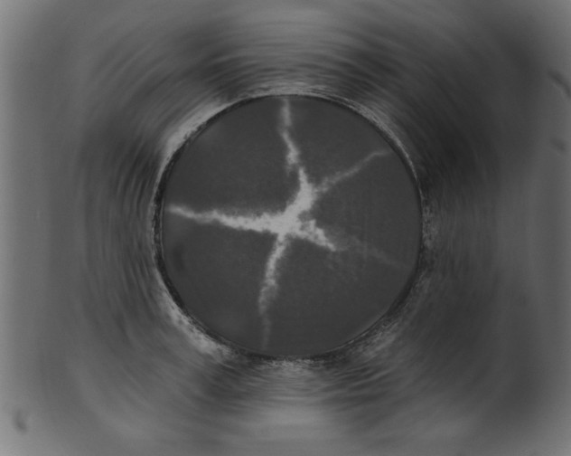 X0000100870995200807181232