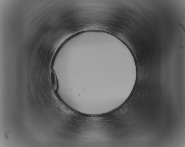 X0000100870996200807181232