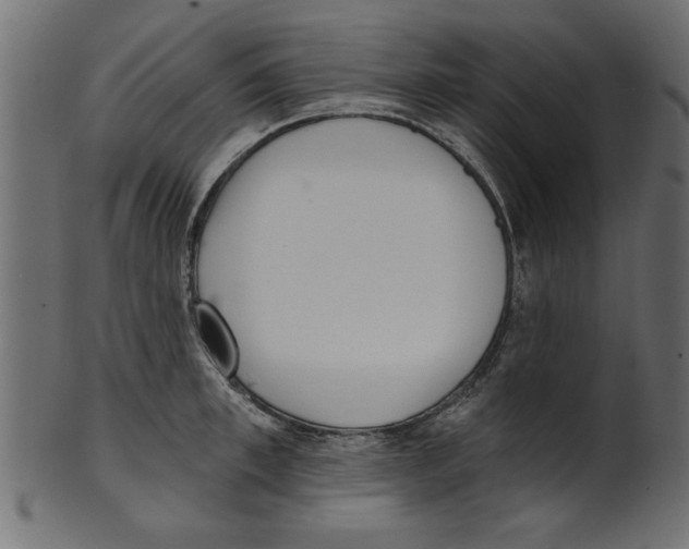 X0000100870997200807181232